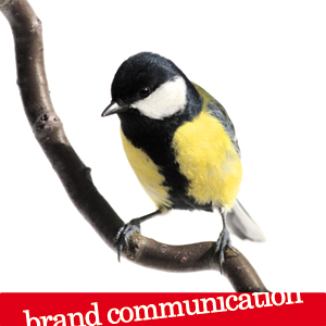 Brand communication